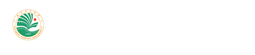 美加墨世界杯比赛官网